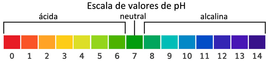 Escala de valores de pH
